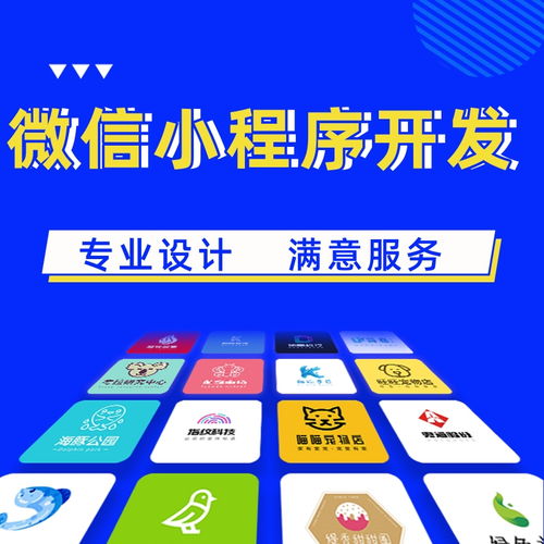 晉城軟件開發公司限時優惠，華陽科技助力網站建設與推廣